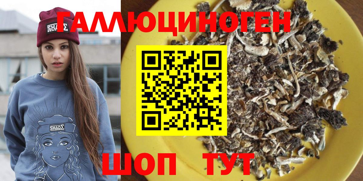 Галлюциногенные грибы GOLDEN TEACHER Екатеринбург