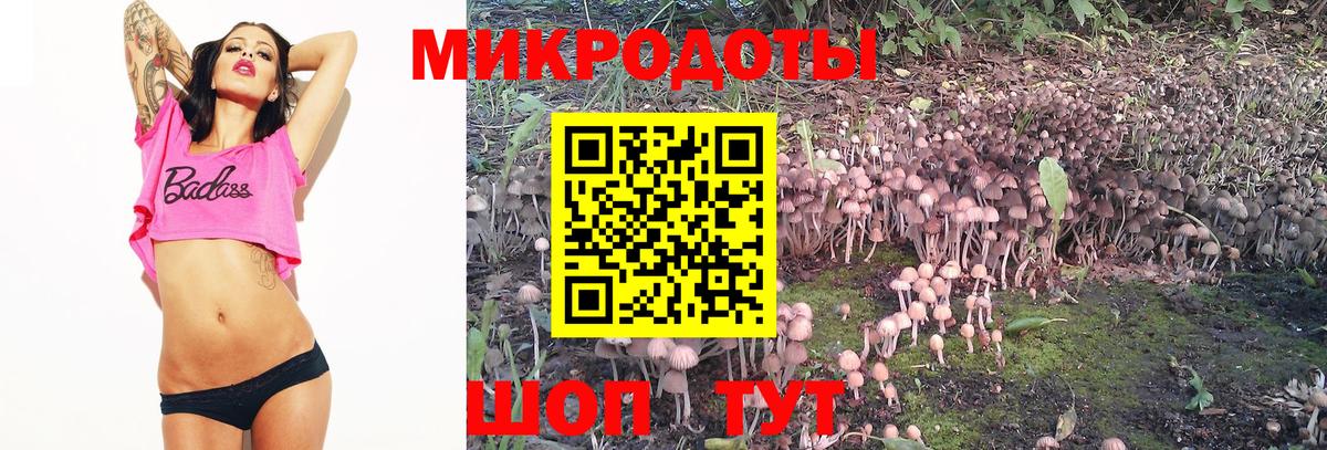 Екатеринбург  Псилоцибиновые грибы Psilocybine cubensis  Вход с VPN 